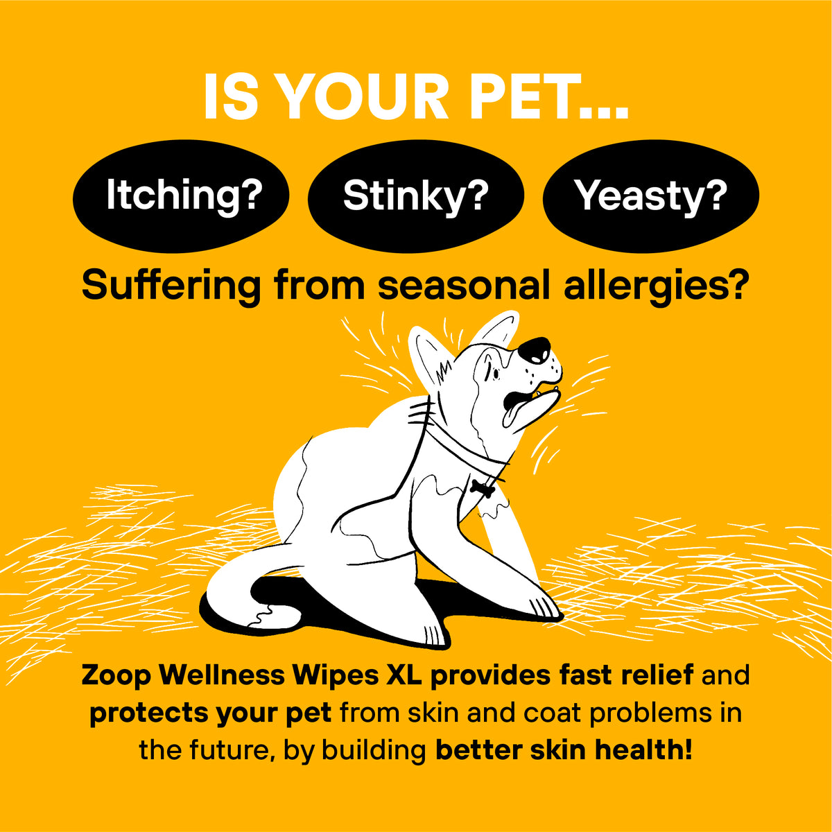 Wellness Pet Wipes XL - Whole Body Health and Pet Hygiene - 10 Count