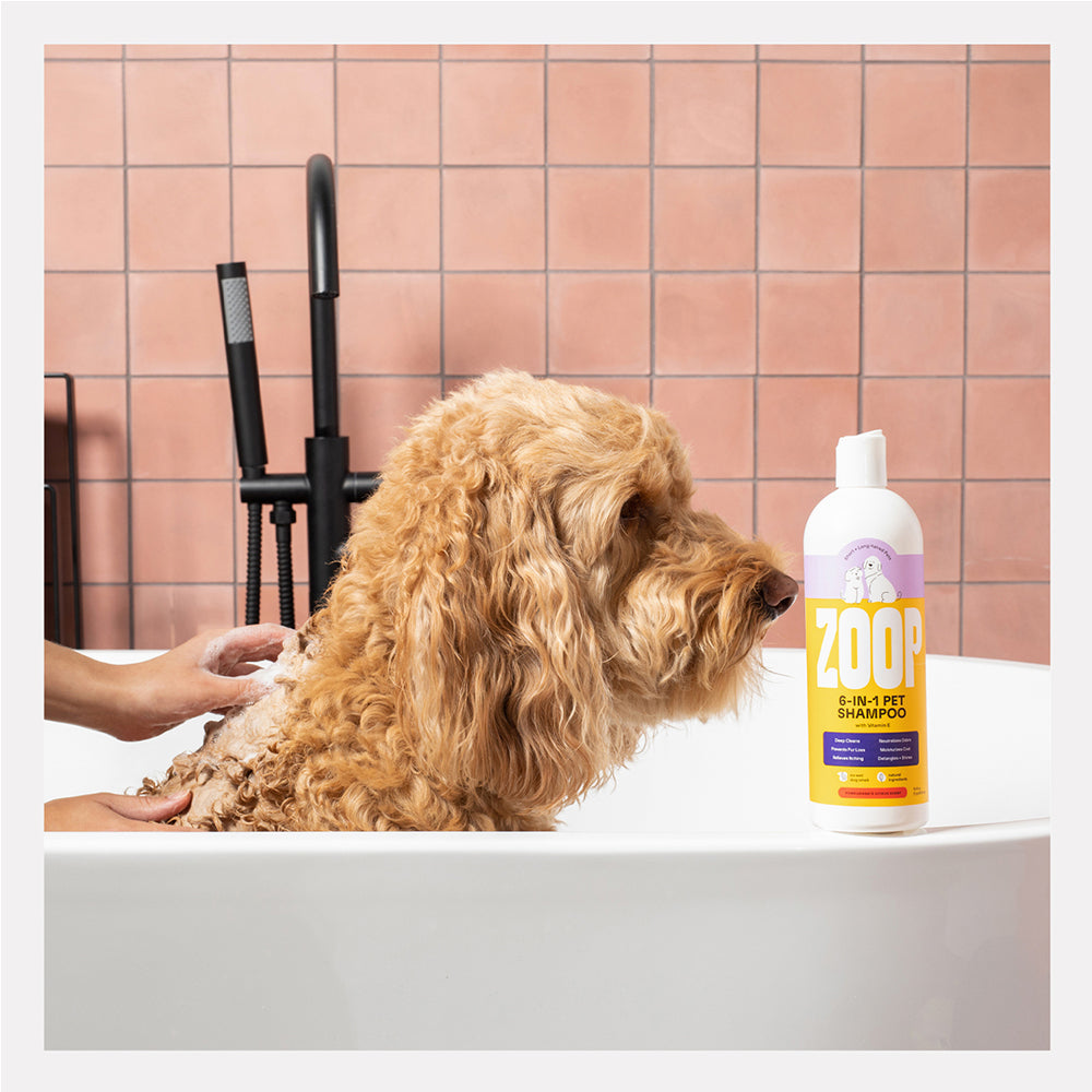 All in One Natural Pet Shampoo + Conditioner - 16 oz.