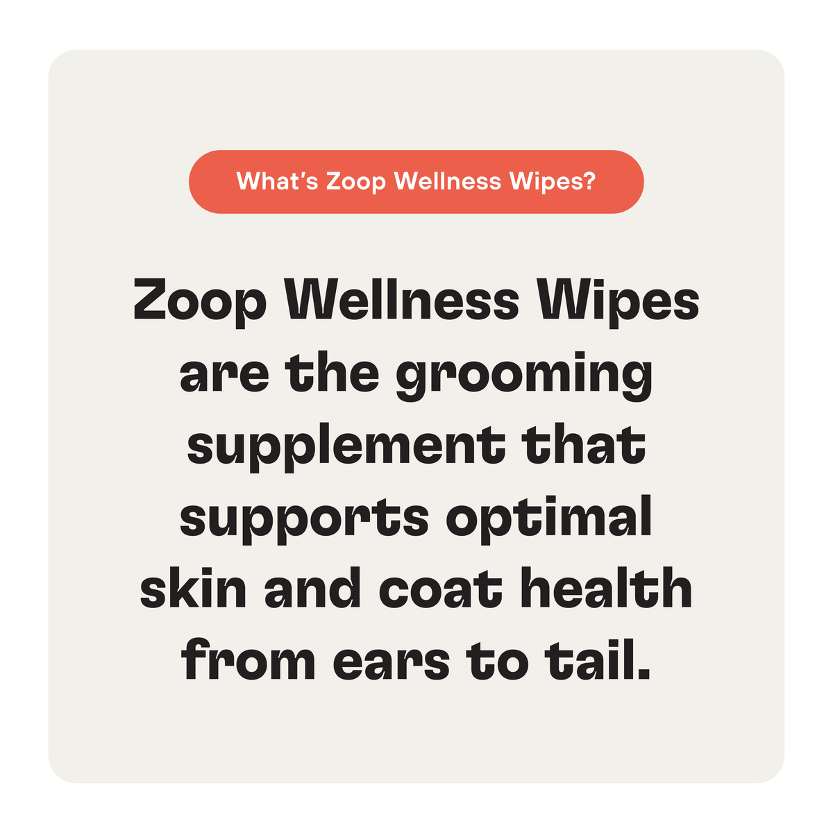 Wellness Pet Wipes & Towels Bundle