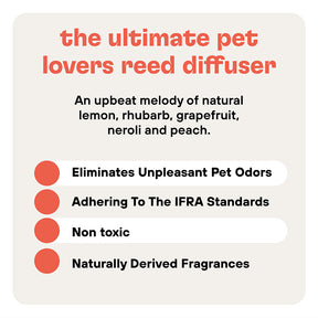 Pet Odor Eliminating Non-Toxic Scented Reed Diffuser