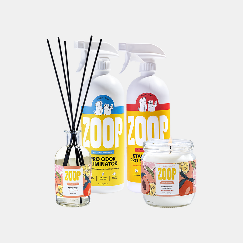 Zoop | Utterly genius solutions for pets and everyone around them.